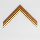 A779/3 - mustár képkeretléc aranycsíkkal